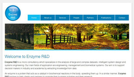 Website for Enzyme R&D in Ioannina, Epirus