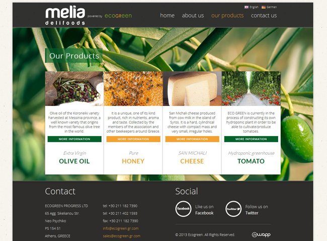 Κατασκευή ιστοσελίδας για την εταιρία Ecogreen Melia Delifoods στην Αθήνα