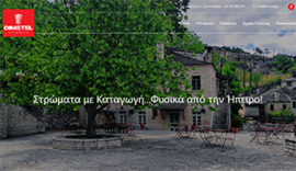 Website for Dimstel in Ioannina, Epirus
