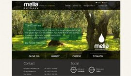 Website for Ecogreen Melia Delifoods trading company in Athens