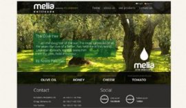 Κατασκευή ιστοσελίδας για την εταιρία Ecogreen Melia Delifoods στην Αθήνα